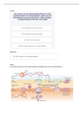 Oefenvragen tentamen module 3 2022/2023 (module-afsluiting) - Celbiologie, Psychobiologie - UvA