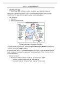 Adult Primary Care: Cardiac