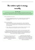 A Level Edexcel Geography - The Carbon Cycle Revision notes 