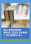 ALI BAGHERI MSIS 3223 EXAM 1 SCORED A+