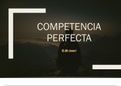 Competencia perfecta