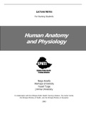 Human Anatomy and Physiology