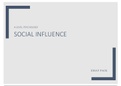 A* AQA A Level Psychology - Social Influence Essay Plans