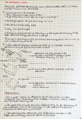 The photoelectric effect