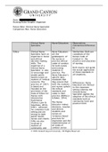 NUR 513 Topic 2 Assignment Nursing Roles Graphic Organizer  (Grand Canyon 2023)