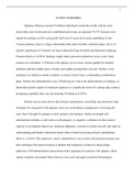 What effective strategies for medical care, social support, and academic support are there for school-age children with Epilepsy in Ireland