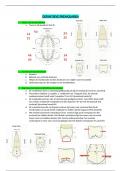 Samenvatting DEFINITIEVE PREMOLAREN 