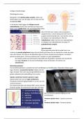 Samenvatting Endodontologie en Orthodontie MZK jaar 2.4