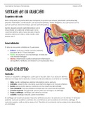 Apuntes morfología Oido, sentido de la audicion y vias auditivas