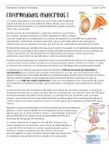 Enfermedades endocrinas