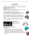 Samenvatting anatomie en fysiologie optometrie/orthoptie blok C jaar 1