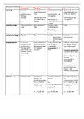 Grondslagen Ondernemingsrecht schema rechtsvormen