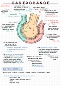 [ATAR notes] Summary of Gas Exchanges - respiratory