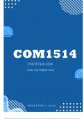 COM1514 Portfolio 2024