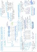 summary - chemical equilibrium 