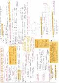 Summary - Electrochemistry 