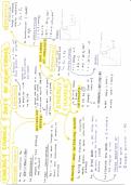 Summary - Energy Change and Rates of Reaction 