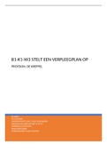 B1-K1-W3 STELT EEN VERPLEEGPLAN OP