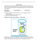 Water Potential Notes