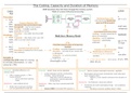 Memory - Psychology A Level