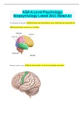 AQA A Level Psychology: Biopsychology Latest 2023 Rated A+