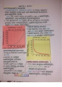 Electromagnetic Radiation and Wavelengths Explained