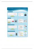 Nur 3125 ECG Strips on the Nclex Template 