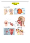 NUR 204 Health Assessment HEENT & Lymph nodes Spring 2023