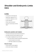 Anatomy of the Shoulders