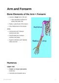 Anatomy of Musculoskeletal System + Respiratory System + Cardiovascular System + Digestive System + Urinary System + Reproductive System