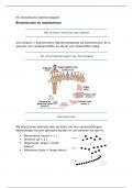 HC vroedkunde biomoleculen en metabolisme