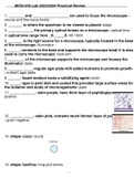 BIOS-242 Lab 2023/2024 Practical Review