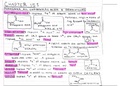 Carboxylic Acids & Carboxylic Acid Derivatives 