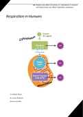 Unit 10B - Biological Molecules and Metabolic Pathways  