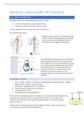 Samenvatting module vasculaire pathologie