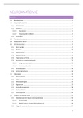 Samenvatting deel Neuroanatomie (16/20)
