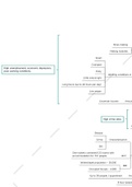 The Grade 9 mind map for GCSE Crime and Punishment revision - Whitechapel Case study