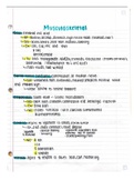 Musculoskeletal System 