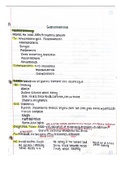 Gastrointestinal System 