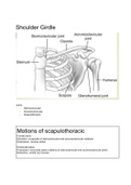 Functional Movement Analysis