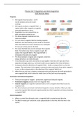 AQA GCSE Physics Magnetism Summary Notes