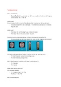 Tandanatomie samenvatting Thema 1.5 Blok B