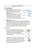 RESUMEN DE FISIOLOGIA 