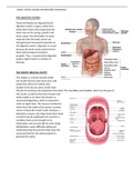 Digestive system 