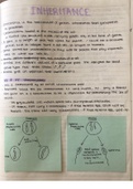 Class notes biology, inheritance 