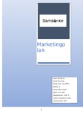 Marketingplan