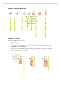 The 20 Amino Acids