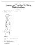 Anatomy and Physiology 5th Edition Marieb Test Bank Chapter 1 - 26 Updated 2023