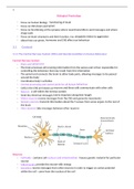 Edexcel A Level Psychology Notes - Biological Psychology 