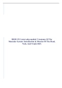 BIOD 151 Latest a&p module 5 Anatomy Of The Muscular System: Introduction & Muscles Of The Head, Neck, And Trunk 2022.